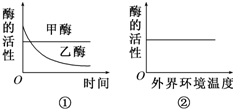 第510页